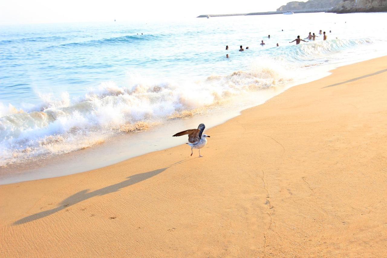 Natural Grey Albufeira Luaran gambar
